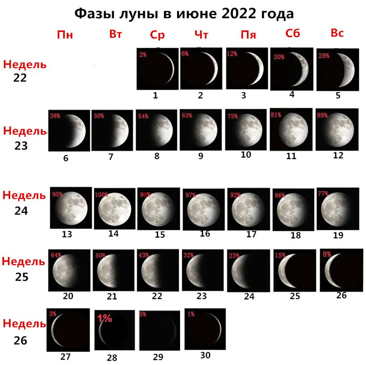 Календарь Стрижки Волос Июнь 2023 Года