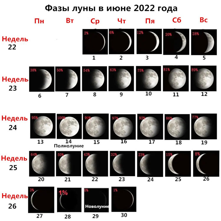 Рост луны в апреле 2024. Фазы Луны. Лунный календарь на июнь 2022. Фазы Луны 2022. Фазы Луны в июне.