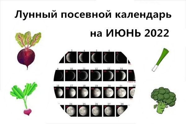 САМЫЙ Удачный лунный посевной календарь садоводов и огородников на ИЮНЬ