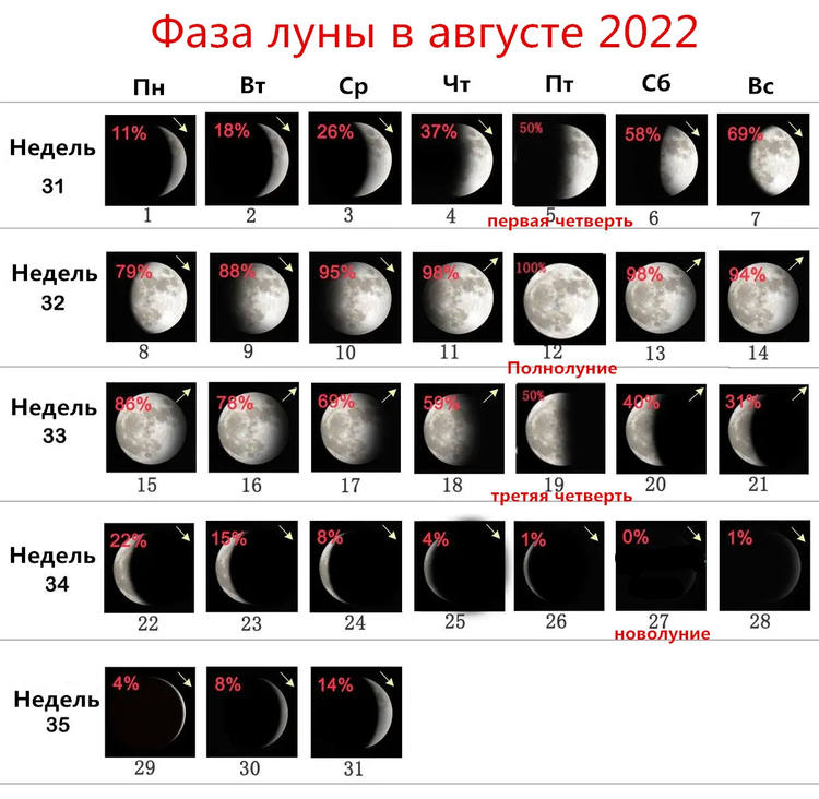 Новолуние март апрель 2024. Фаза Луны август 2023 по дням лунный. Фазы Луны в августе 2022. Фаза растущей Луны. Лунный календарь на август 2022.